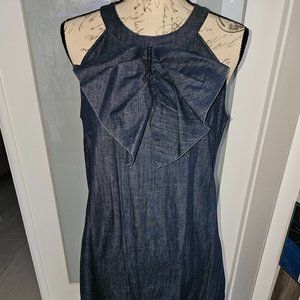 BR Denim Dress